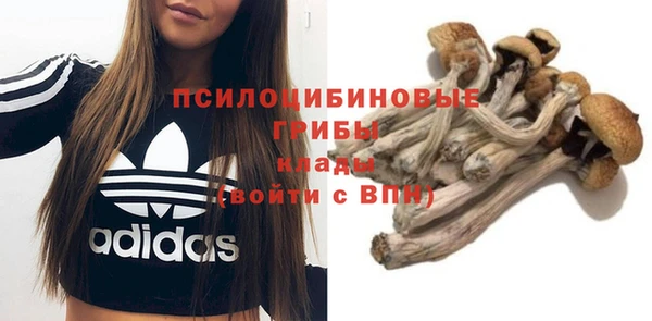 мяу мяу кристалл Козловка